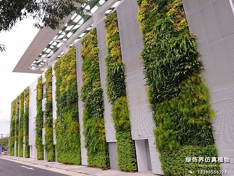 沈陽(yáng)活體植物墻,沈陽(yáng)植物墻制作,沈陽(yáng)仿真植物墻-沈陽(yáng)綠飾界景觀(guān)工程有限公司
